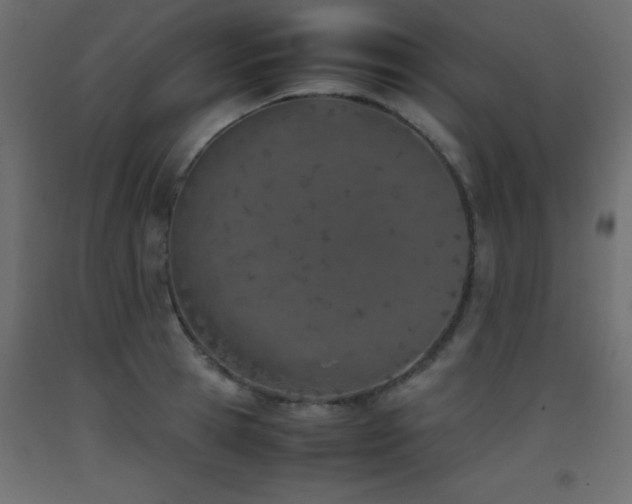 X0000093390945200710111512