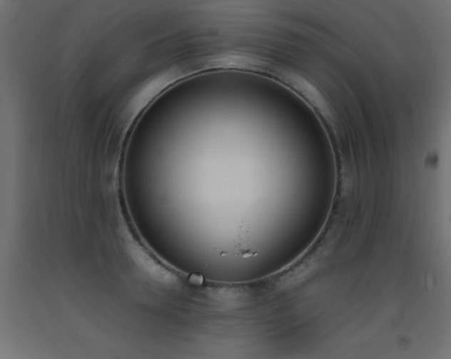 X0000093390946200710111512