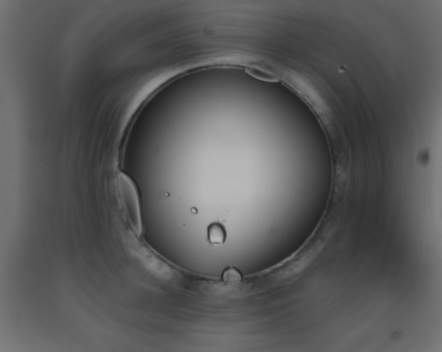 X0000093390948200710111512