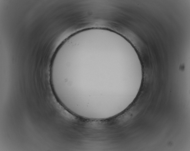 X0000093390950200710111512