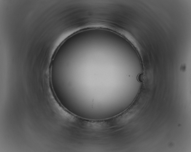 X0000093390951200710111512