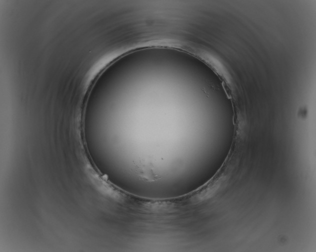 X0000093390952200710111512