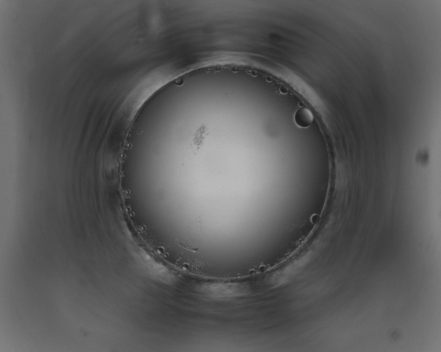 X0000093390953200710111512