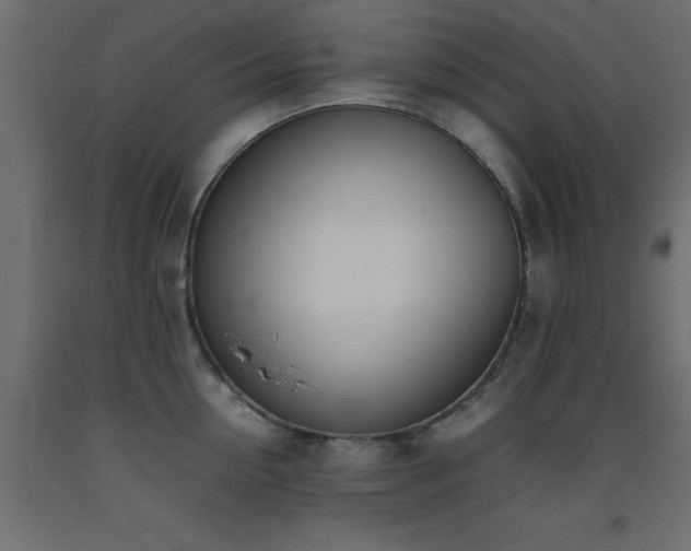 X0000093390954200710111512