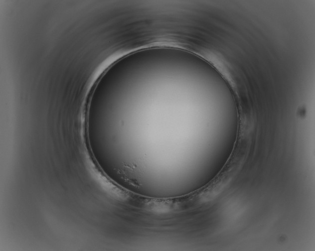 X0000093390955200710111512