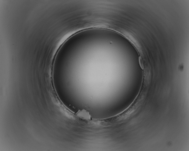 X0000093390956200710111512