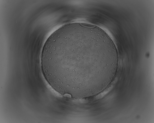 X0000093390957200710111512