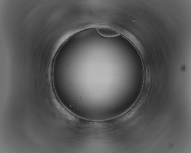 X0000093390958200710111513