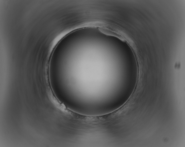 X0000093390960200710111513