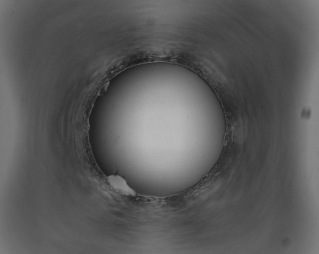 X0000093390961200710111512