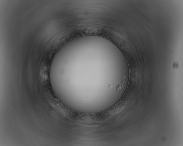 X0000093390962200710111512