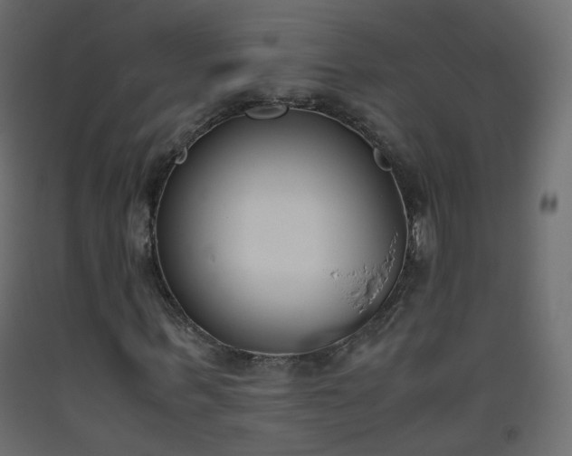 X0000093390963200710111512