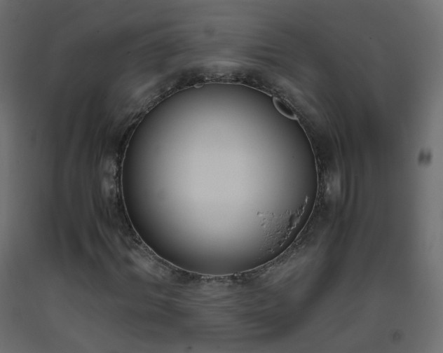 X0000093390964200710111512