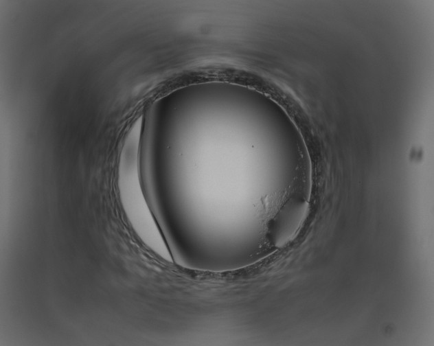 X0000093390965200710111512