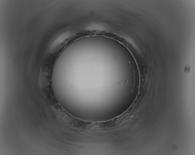 X0000093390967200710111512