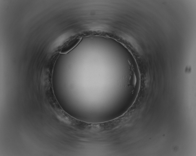 X0000093390968200710111512