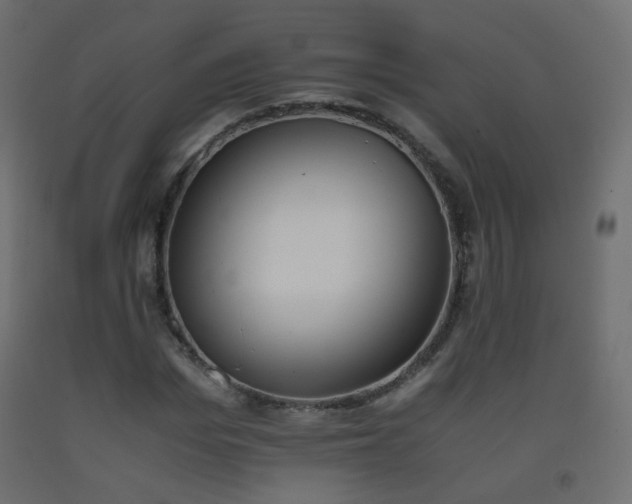 X0000093390969200710111512