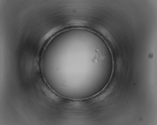 X0000093390970200710111512