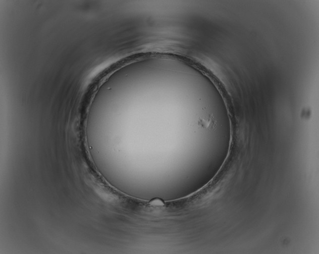 X0000093390971200710111512