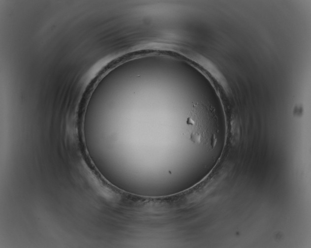 X0000093390972200710111512