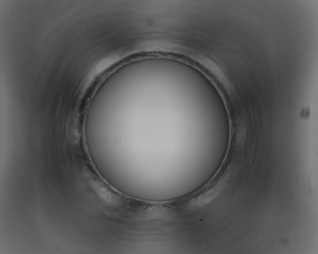 X0000093390974200710111512