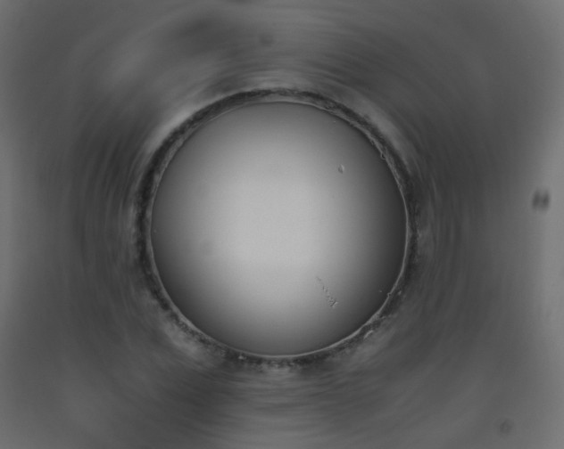 X0000093390975200710111512