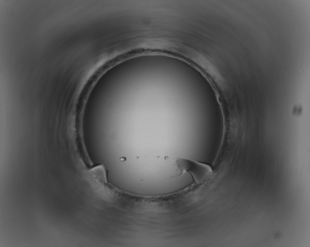 X0000093390976200710111512