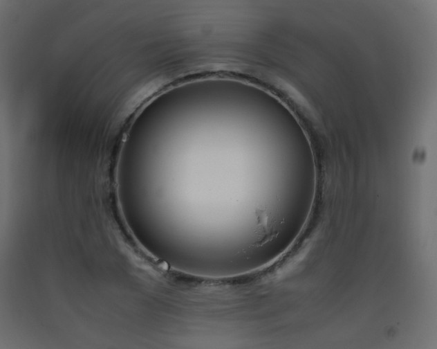 X0000093390977200710111512