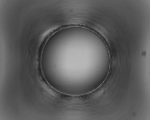 X0000093390979200710111512