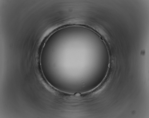 X0000093390981200710111512