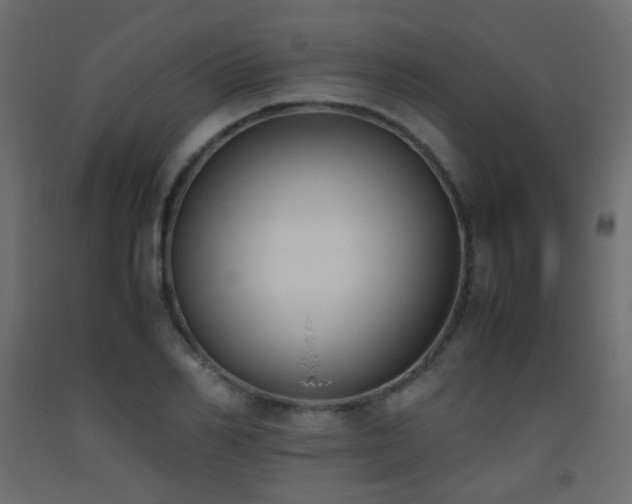 X0000093390982200710111512