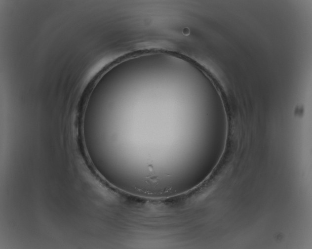 X0000093390983200710111512