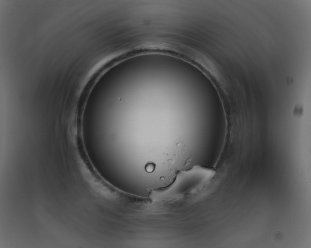 X0000093390984200710111512