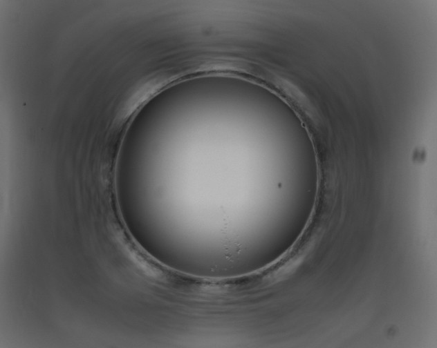 X0000093390985200710111512