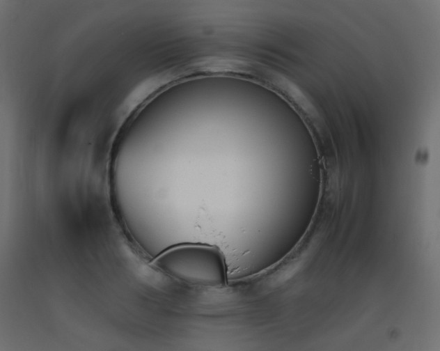 X0000093390986200710111512