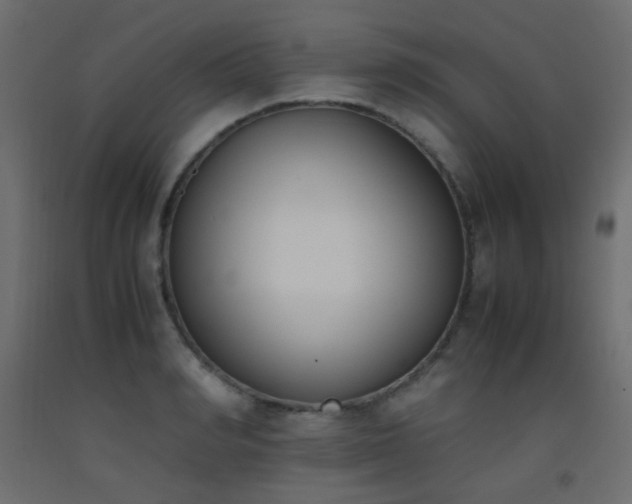 X0000093390990200710111512