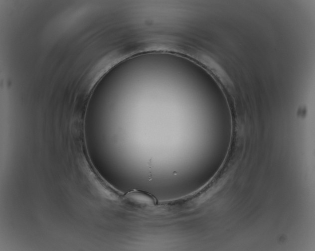 X0000093390993200710111512