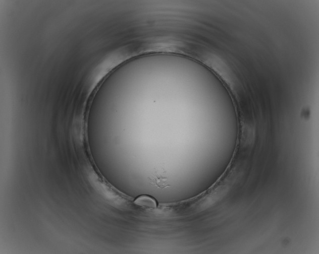 X0000093390994200710111512