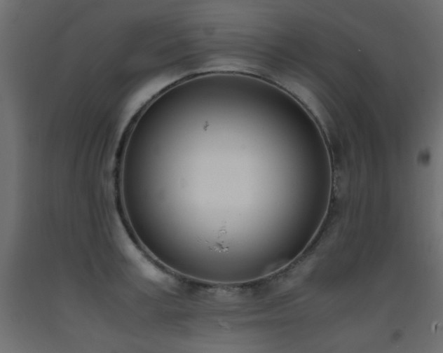 X0000093390995200710111512