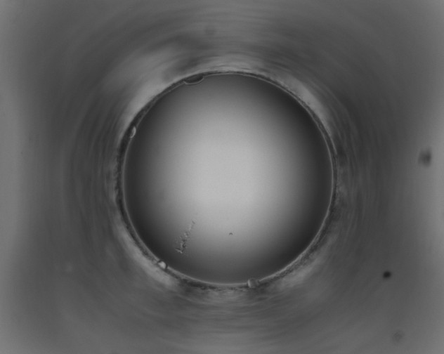 X0000093390997200710111511