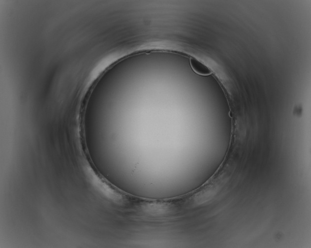 X0000093390998200710111511