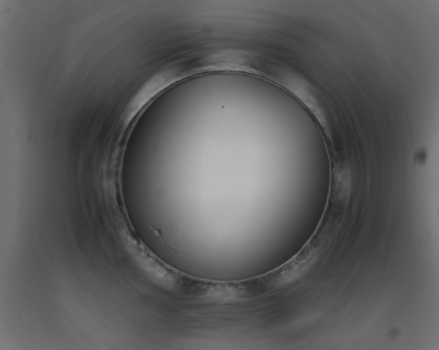 X0000093391002200710111511