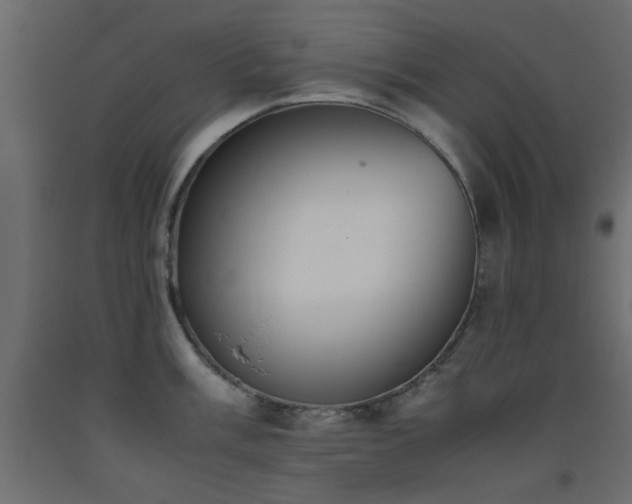 X0000093391003200710111511