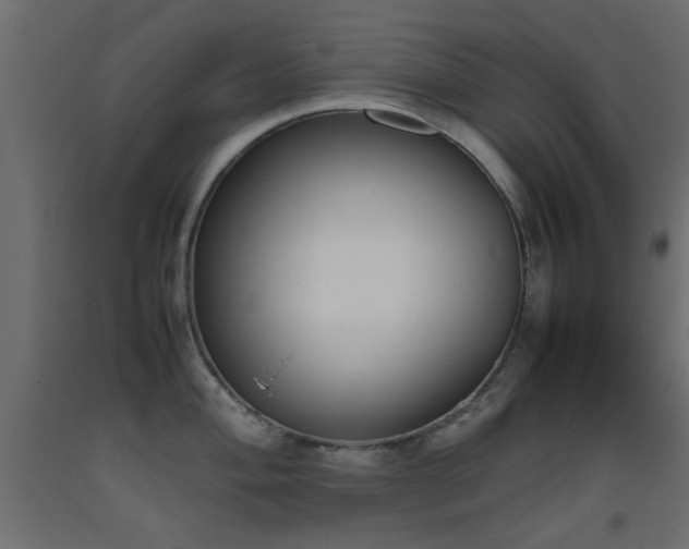 X0000093391004200710111511