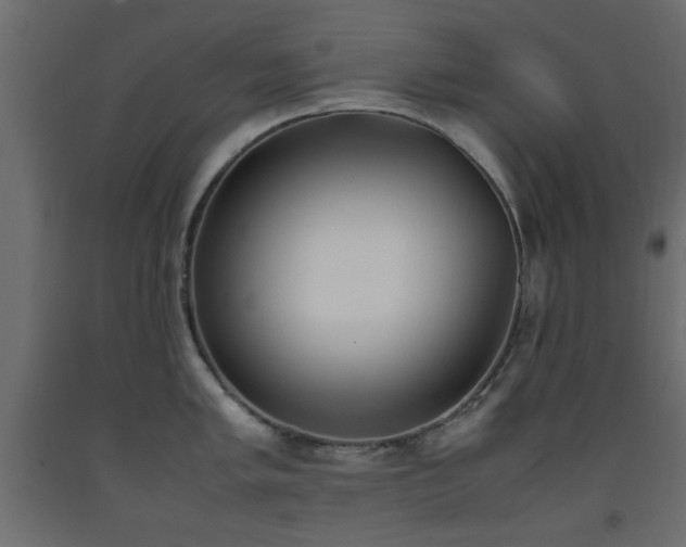 X0000093391005200710111511