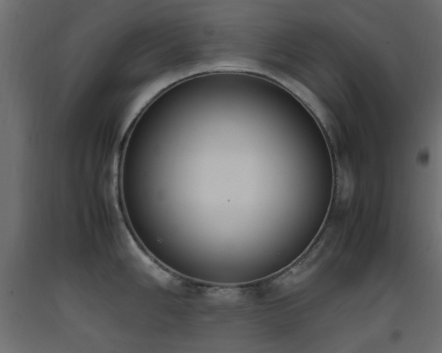 X0000093391006200710111511