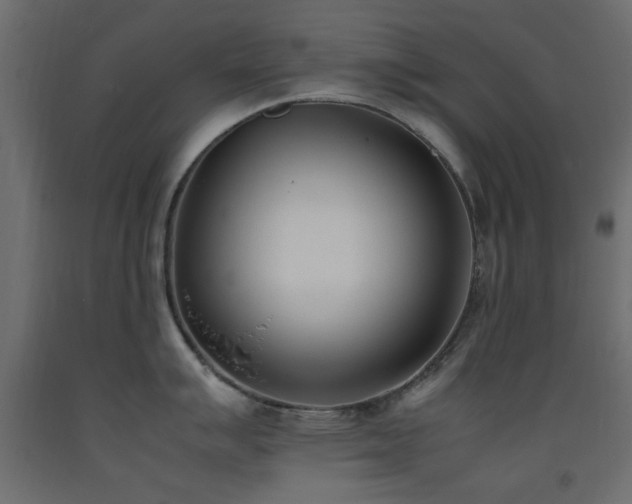 X0000093391007200710111511