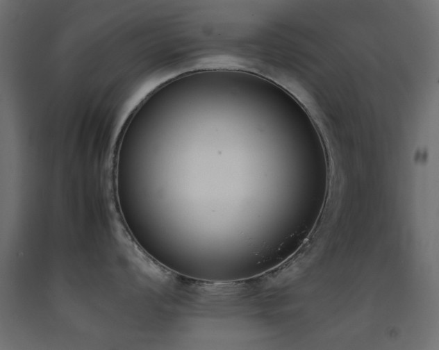 X0000093391008200710111511