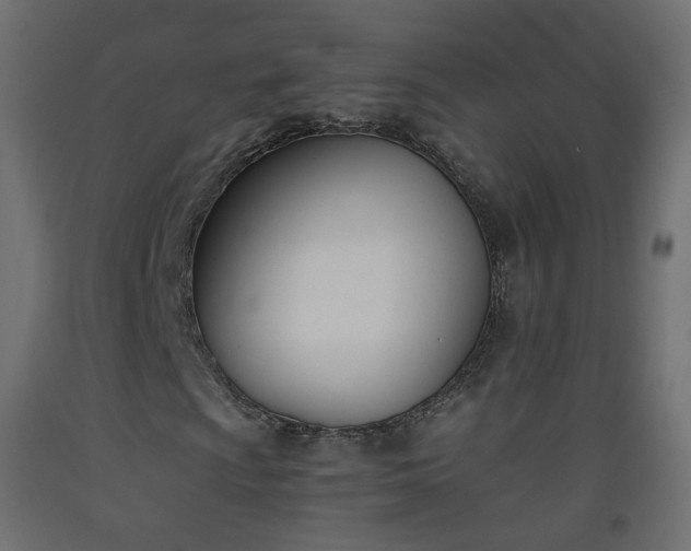 X0000093391009200710111511