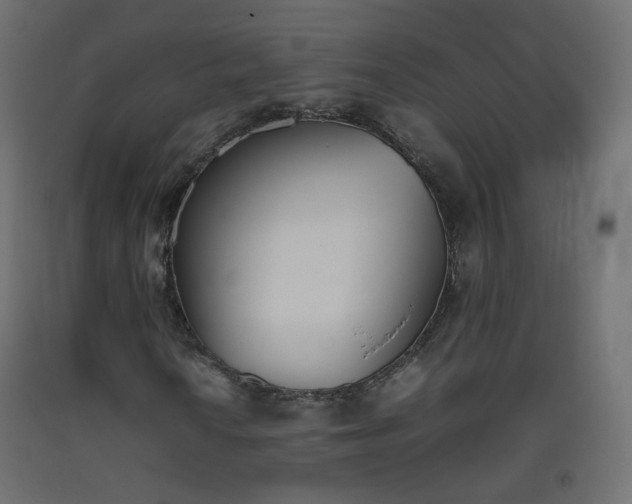 X0000093391010200710111511